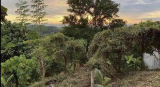 824sqm Vacant Lot in Mandala 2, Timberland Heights, San Mateo, Rizal 824sqm Vacant Lot in Mandala 2, Timberland Heights, San Mateo, Rizal