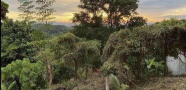 824sqm Vacant Lot in Mandala 2, Timberland Heights, San Mateo, Rizal
