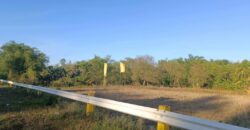 5,227 SQM Agricultural Land in Sigma, Capiz 5,227 SQM Agricultural Land in Sigma, Capiz