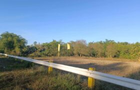 5,227 SQM Agricultural Land in Sigma, Capiz 5,227 SQM Agricultural Land in Sigma, Capiz