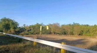 5,227 SQM Agricultural Land in Sigma, Capiz 5,227 SQM Agricultural Land in Sigma, Capiz