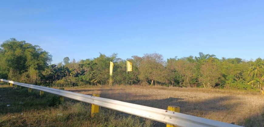 5,227 SQM Agricultural Land in Sigma, Capiz 5,227 SQM Agricultural Land in Sigma, Capiz