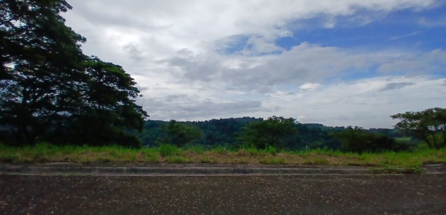 Prime Lot in Eastland Heights, Antipolo City, Rizal – 512 sqm! Prime Lot in Eastland Heights, Antipolo City, Rizal – 512 sqm!
