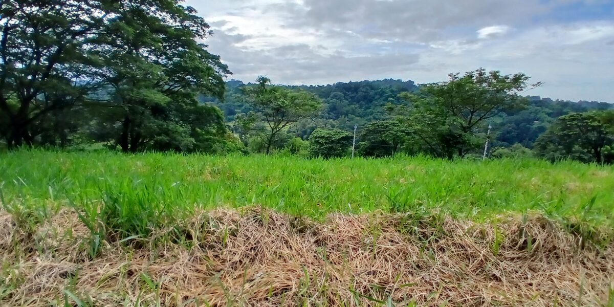 Prime Lot in Eastland Heights, Antipolo City, Rizal – 512 sqm! Prime Lot in Eastland Heights, Antipolo City, Rizal – 512 sqm!