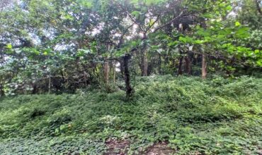 626 SQM Residential Lot, Eastland Heights Subd., Antipolo City, Rizal