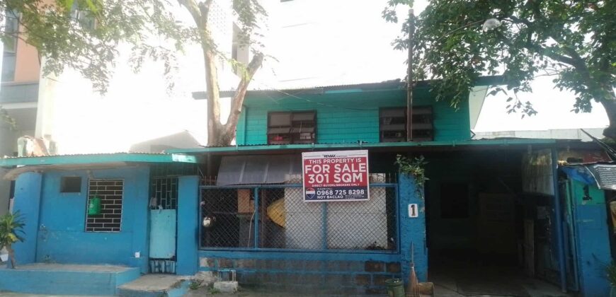 301 sqm Lot in Mandaluyong Near Shaw Blvd – Perfect for Commercial Use