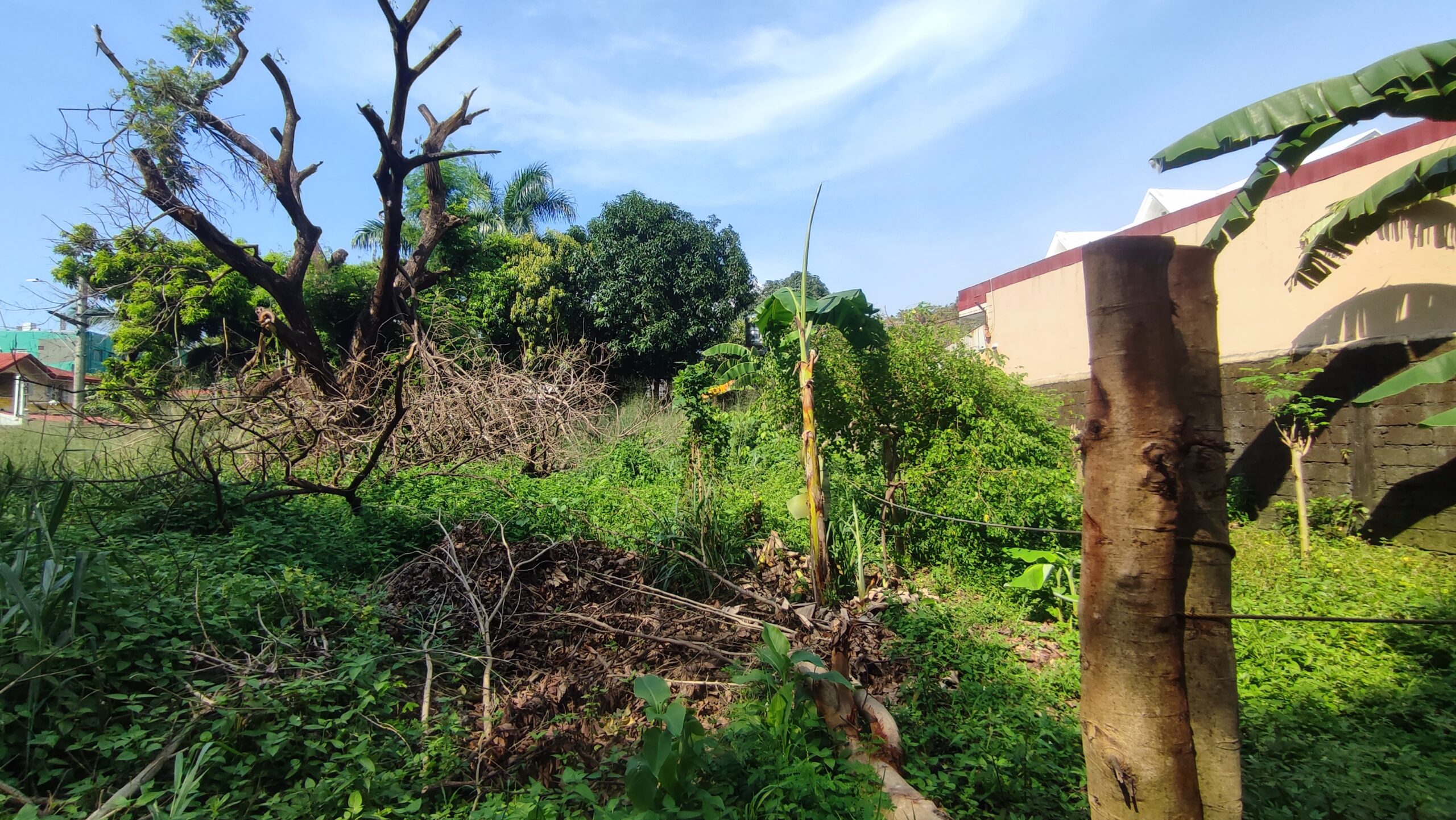 347 SQM Residential Lot in Teoville 3, East Parañaque