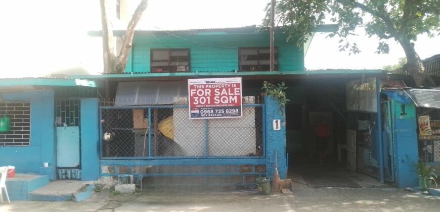 301 sqm Lot in Mandaluyong Near Shaw Blvd – Perfect for Commercial Use