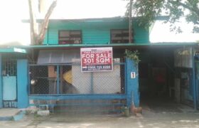 301 sqm Lot in Mandaluyong Near Shaw Blvd – Perfect for Commercial Use