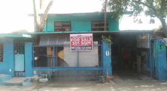 301 sqm Lot in Mandaluyong Near Shaw Blvd – Perfect for Commercial Use