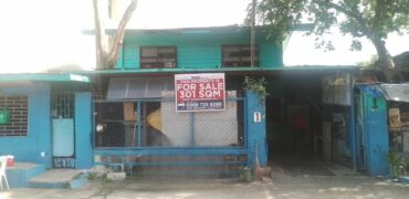 301 sqm Lot in Mandaluyong Near Shaw Blvd – Perfect for Commercial Use