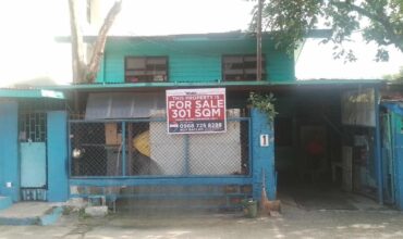 301 sqm Lot in Mandaluyong Near Shaw Blvd – Perfect for Commercial Use