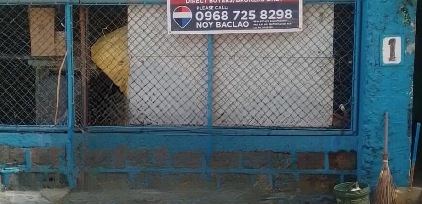 301 sqm Lot in Mandaluyong Near Shaw Blvd – Perfect for Commercial Use