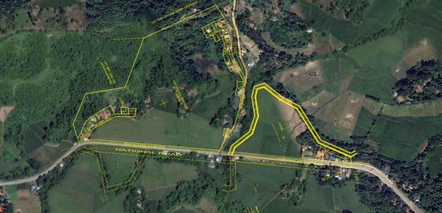 71,478 sqm Agricultural Lot in Sigma, Capiz