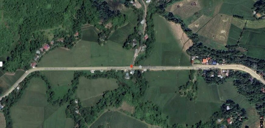 71,478 sqm Agricultural Lot in Sigma, Capiz