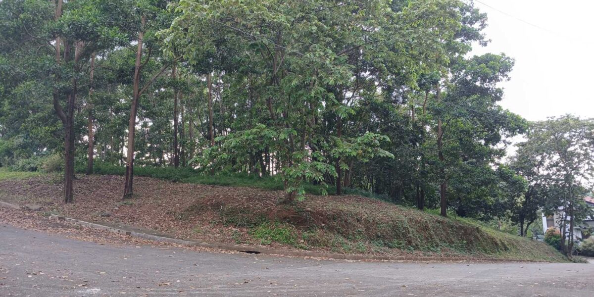 Prime Corner Lot in Sun Valley Estates, Antipolo City, Rizal