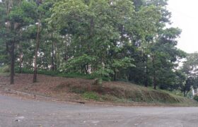 Prime Corner Lot in Sun Valley Estates, Antipolo City, Rizal