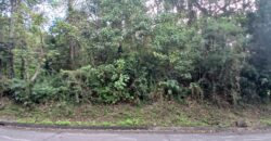 FOR SALE!! 788 sqm Residential Lot, Forest Farms at Havila, Angono, Rizal