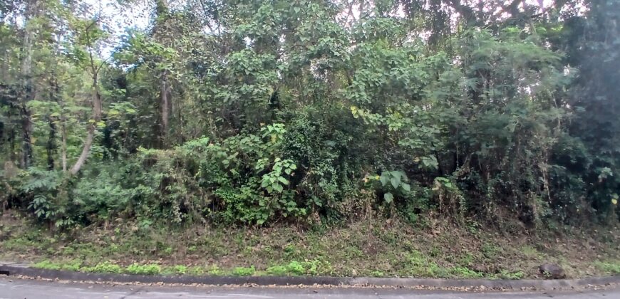 FOR SALE!! 788 sqm Residential Lot, Forest Farms at Havila, Angono, Rizal