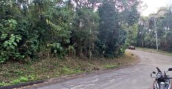 FOR SALE!! 788 sqm Residential Lot, Forest Farms at Havila, Angono, Rizal