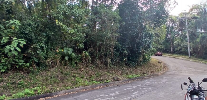 FOR SALE!! 788 sqm Residential Lot, Forest Farms at Havila, Angono, Rizal