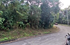 788 sqm Residential Lot, Forest Farms at Havila, Angono, Rizal