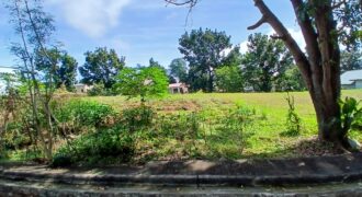 308 sqm Residential Lot in Sta. Catalina Subd., Mission Hills, Angono, Rizal