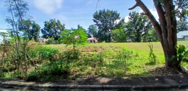 308 sqm Residential Lot in Sta. Catalina Subd., Mission Hills, Angono, Rizal