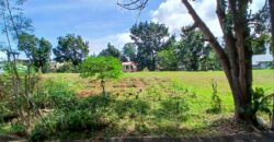 308 sqm Residential Lot in Sta. Catalina Subd., Mission Hills, Angono, Rizal