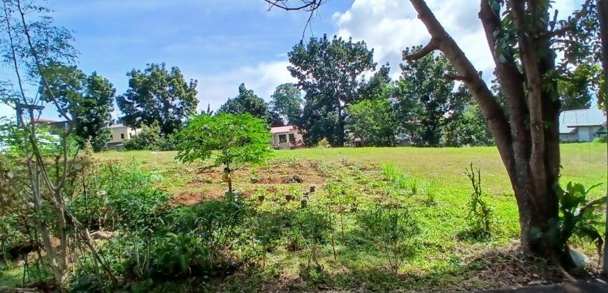 308 sqm Residential Lot in Sta. Catalina Subd., Mission Hills, Angono, Rizal