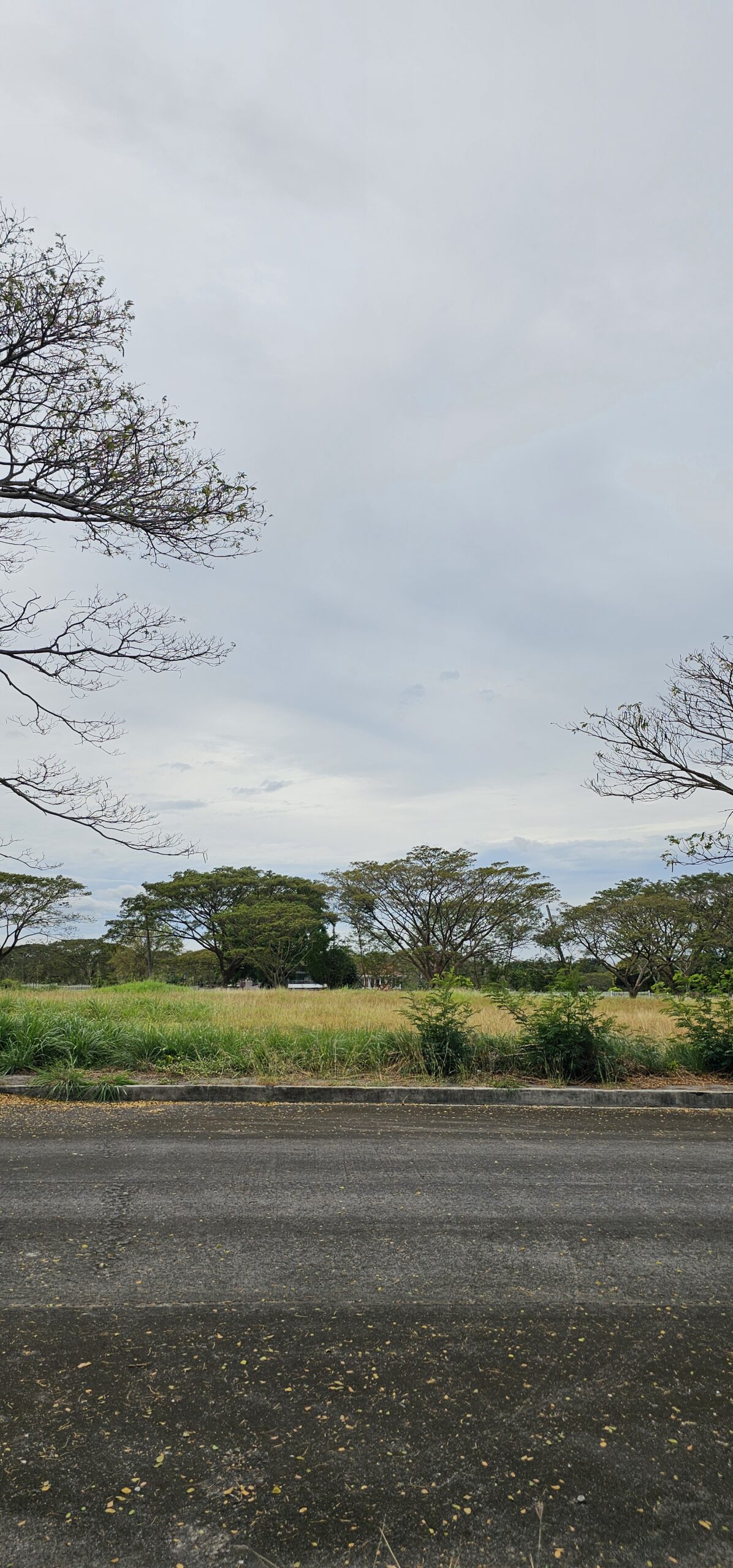 FOR SALE!! 588 sqm Residential Lot in Dasmariñas, Cavite