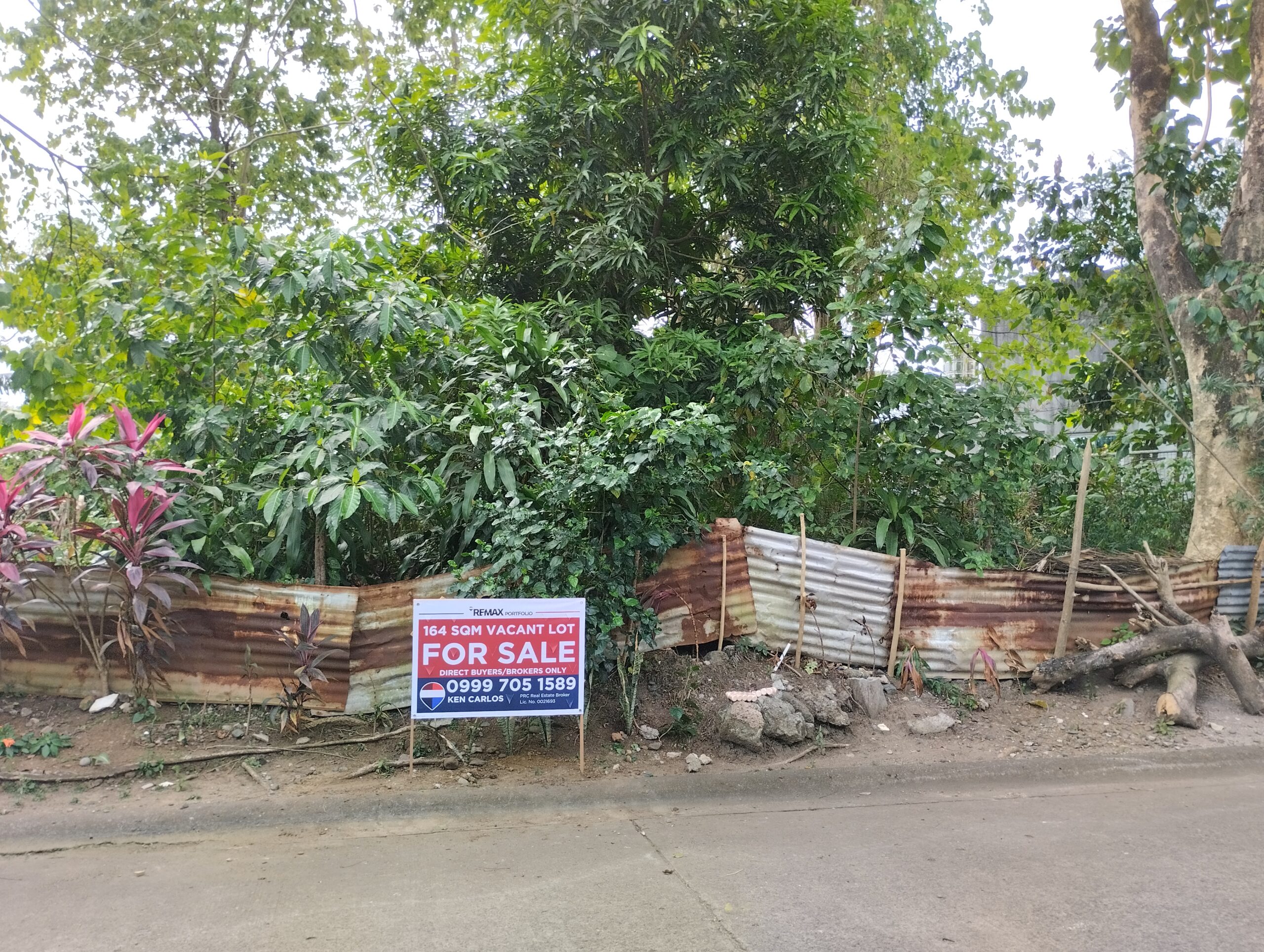 164 sqm Lot for Sale | BF Homes Phase 2, North Caloocan