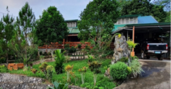 5 Hectares Agricultural Land Operational Natural & Organic Farm in Tanay, Rizal