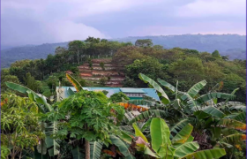 5 Hectares Agricultural Land Operational Natural & Organic Farm in Tanay, Rizal