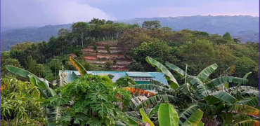 5 Hectares Agricultural Land Operational Natural & Organic Farm in Tanay, Rizal