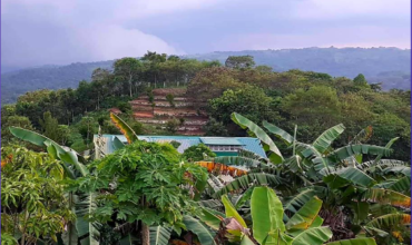 5 Hectares Agricultural Land Operational Natural & Organic Farm in Tanay, Rizal