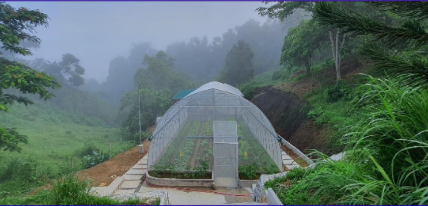 5 Hectares Agricultural Land Operational Natural & Organic Farm in Tanay, Rizal