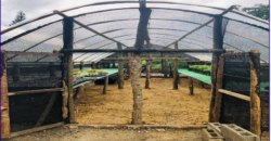 5 Hectares Agricultural Land Operational Natural & Organic Farm in Tanay, Rizal