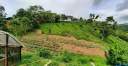 5 Hectares Agricultural Land Operational Natural & Organic Farm in Tanay, Rizal