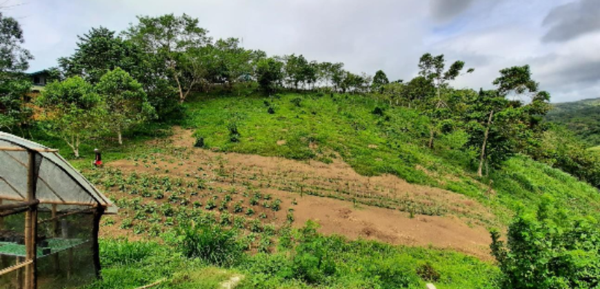 5 Hectares Agricultural Land Operational Natural & Organic Farm in Tanay, Rizal