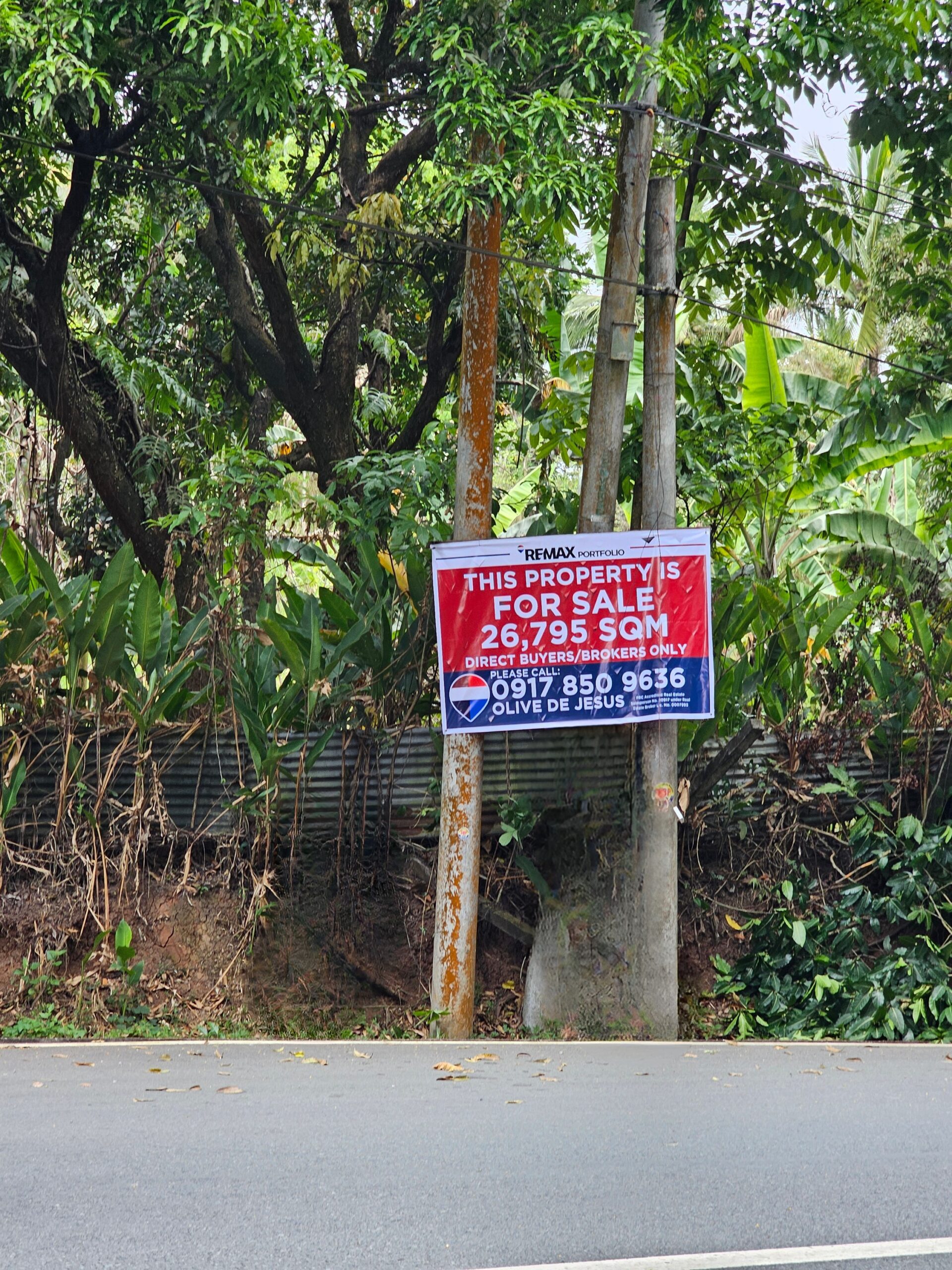 26,795 SQM Prime Land Along National Highway – ₱3,000 per SQM in Pililla, Rizal