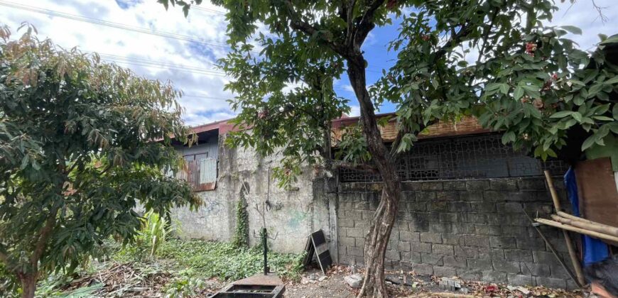 821sqm Vacant Lot in Alabang, Muntinlupa, National Road, across South Park Center by Ayala Malls