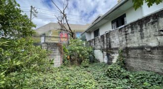 821sqm Vacant Lot in Alabang, Muntinlupa, National Road, across South Park Center by Ayala Malls