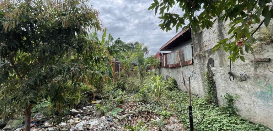 821sqm Vacant Lot in Alabang, Muntinlupa, National Road, across South Park Center by Ayala Malls