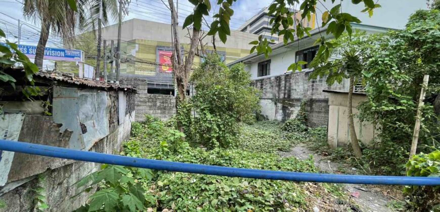 821sqm Vacant Lot in Alabang, Muntinlupa, National Road, across South Park Center by Ayala Malls