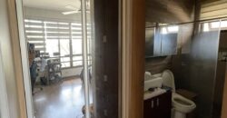 400sqm House and Lot in LGV, near Lavista and Loyola Acropolis, Quezon City