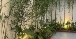 Pre-Selling Brand New House and Lot in Mountain View Subdivision, Filinvest Homes – Batasan Hills, Quezon City