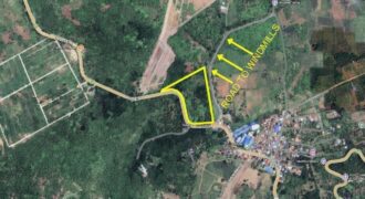 26,795 SQM Prime Land Along National Highway – ₱3,000 per SQM in Pililla, Rizal
