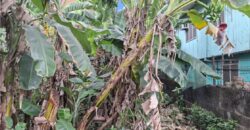 200 sqm Residential Lot in Summer Homes Subd, Concepcion Uno, Marikina City