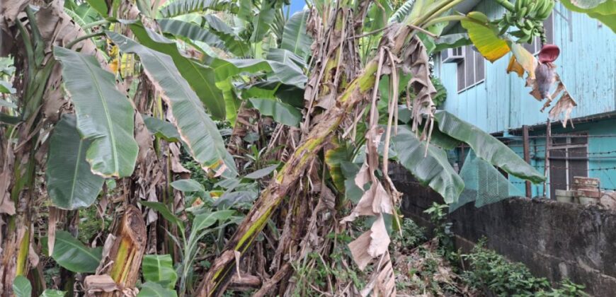 200 sqm Residential Lot in Summer Homes Subd, Concepcion Uno, Marikina City